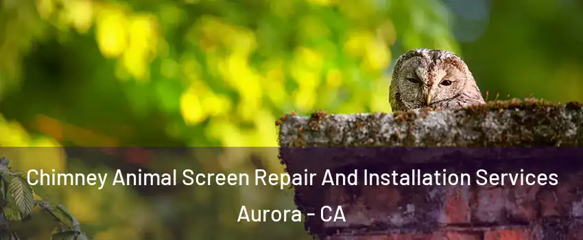 Chimney Animal Screen Repair And Installation Services Aurora - CA