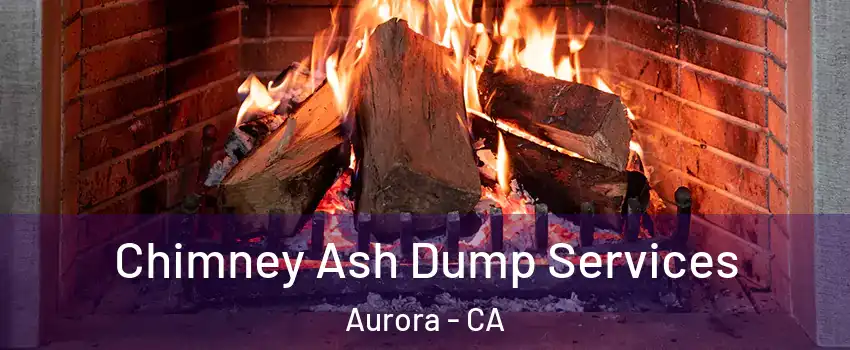 Chimney Ash Dump Services Aurora - CA
