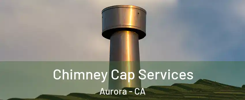 Chimney Cap Services Aurora - CA