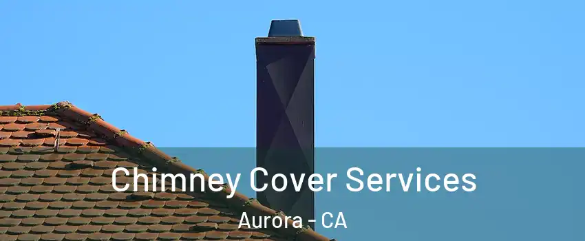 Chimney Cover Services Aurora - CA