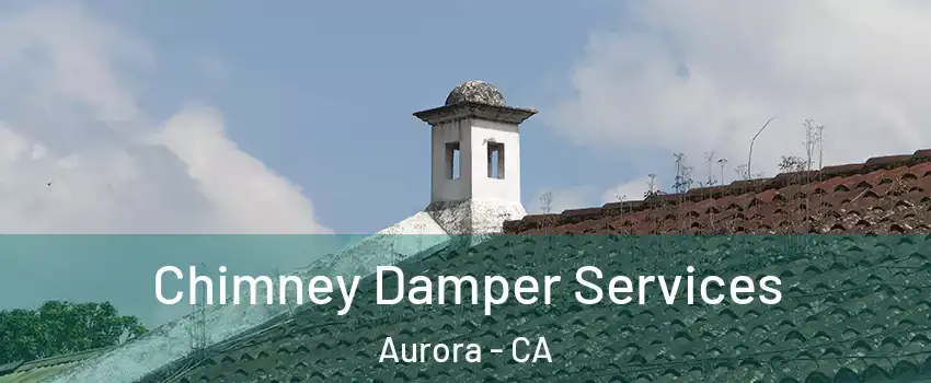 Chimney Damper Services Aurora - CA