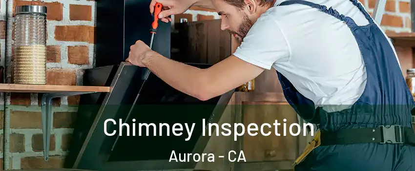 Chimney Inspection Aurora - CA