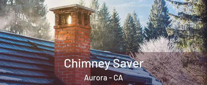 Chimney Saver Aurora - CA