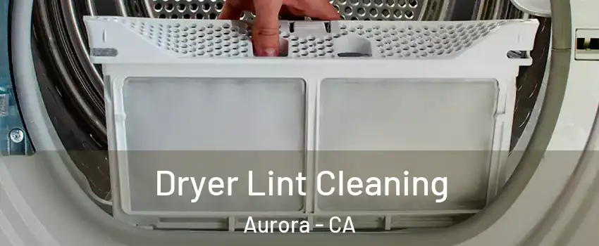 Dryer Lint Cleaning Aurora - CA