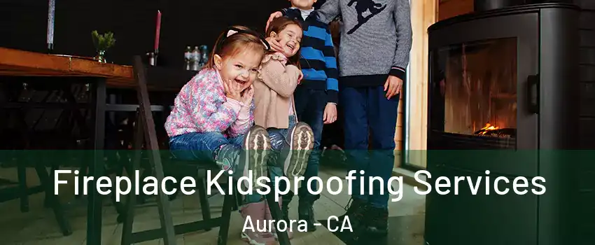 Fireplace Kidsproofing Services Aurora - CA