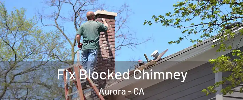 Fix Blocked Chimney Aurora - CA