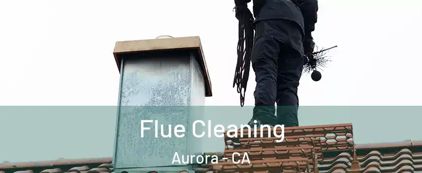 Flue Cleaning Aurora - CA