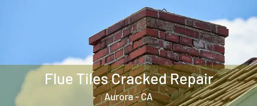 Flue Tiles Cracked Repair Aurora - CA