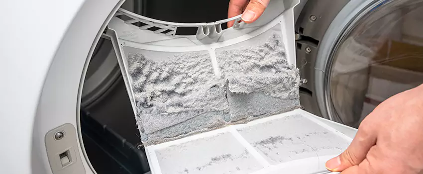 Best Dryer Lint Removal Company in Aurora, California