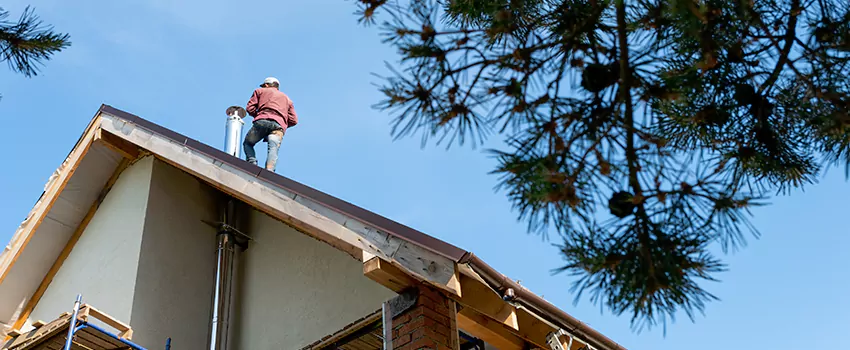 Birds Removal Contractors from Chimney in Aurora, CA